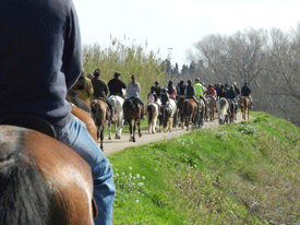 Més de 200 cavalls en la 2a cercavila de Torroella de Montgrí